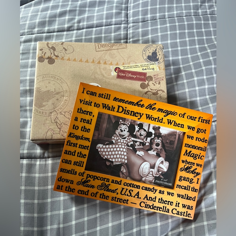 Walt Disney World Mem Amb 4”x6” Frame